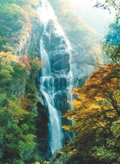 聚智堂今日喜讯揭秘,启程自然美景探索之旅!