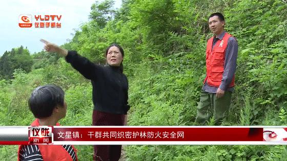 仪陇生活网最新消息更新速递