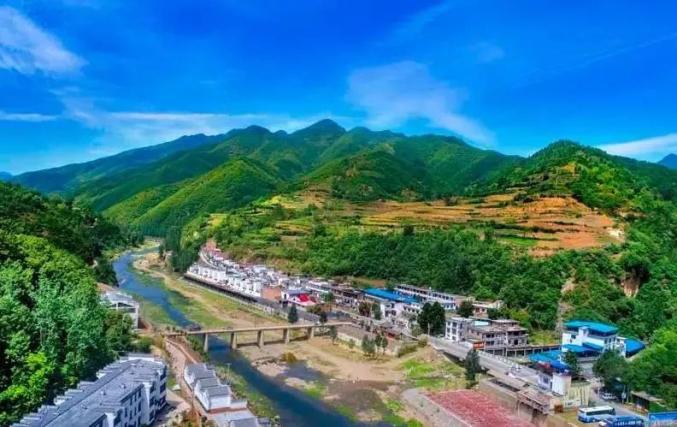 嵩县吧常建松最新消息速递