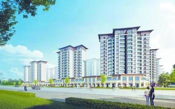 大嶝机场阳塘最新动态