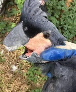 3台空气处理机组 第444页