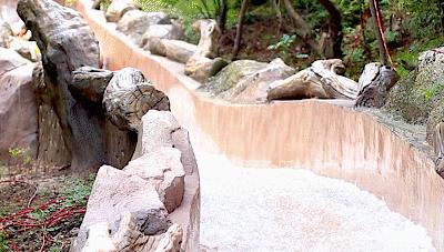 最新小才女探寻自然美景,内心平和之旅