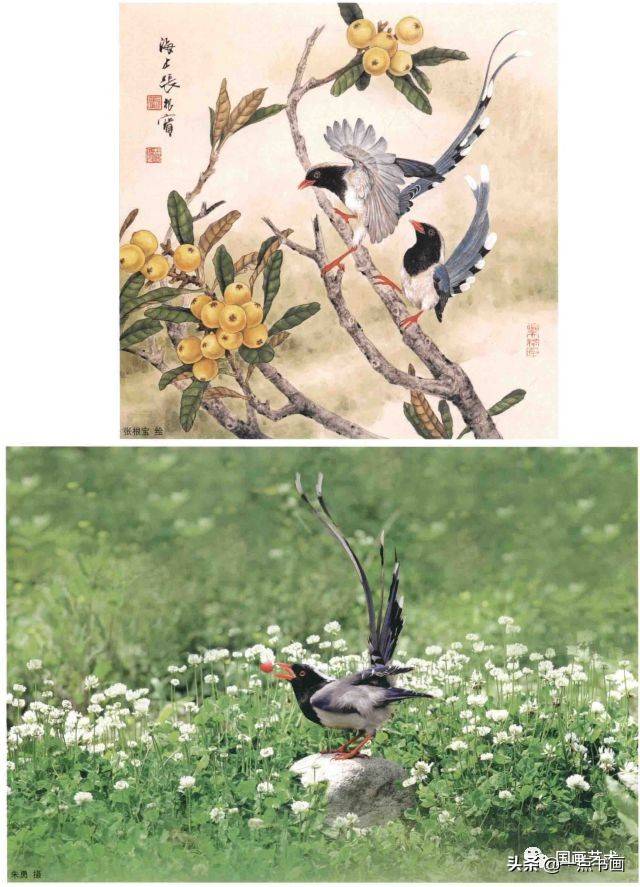 最新腋毛图，深度解析视觉现象