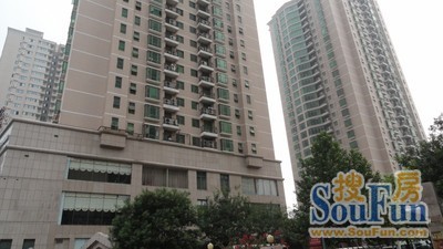 金多银多郑州最新动态揭秘