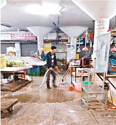 香港H7N9最新动态更新 2017年报告