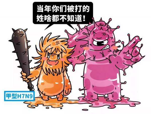 香港H7N9最新动态更新 2017年报告