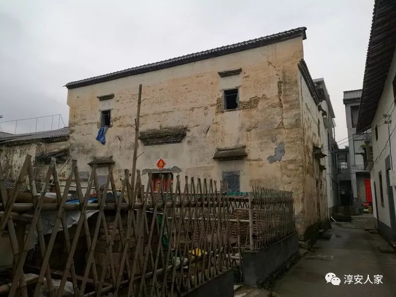 凤林小巷中的独特宝藏，探索别具一格的特色小店最新图片集