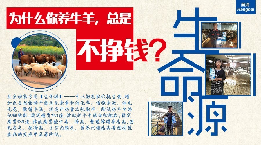 7777788888精准新传真,实地应用实践解读_BMU34.350创新版