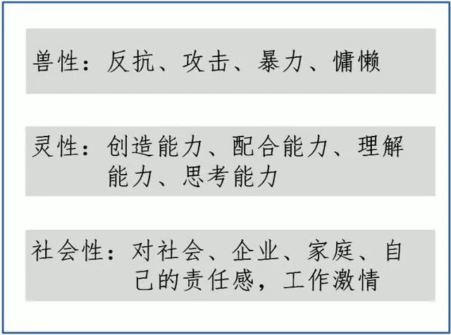 今晚澳门特马开什么今晚四不像,稳固执行方案计划_VKC34.530钻石版