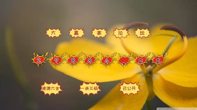 澳门4949开奖结果最快,数据获取方案_FHU34.639限量版