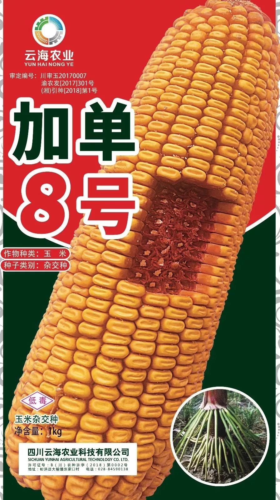 王中王100℅期期准澳彩,实践调查说明_SNZ34.268媒体版