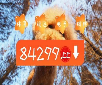 澳门天天开彩好正版挂牌,详细数据解读_VYU34.913触感版