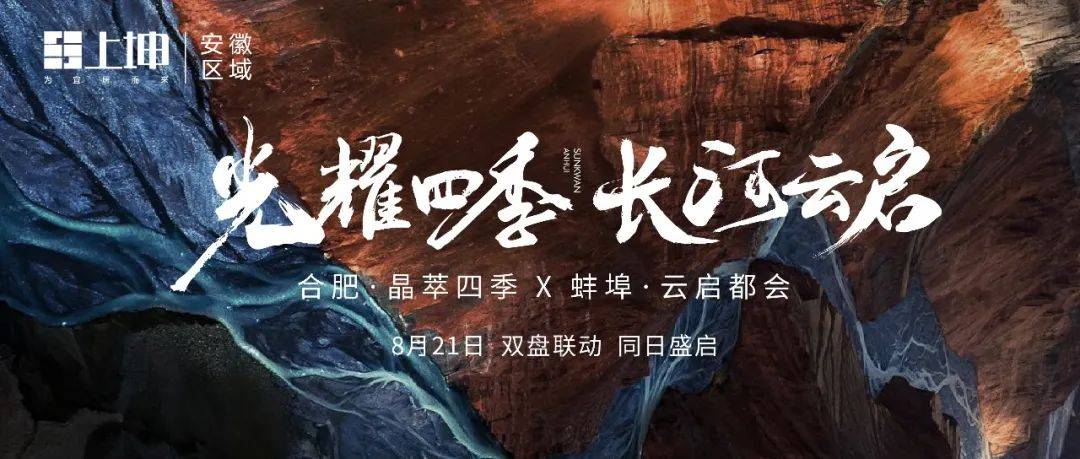 怨宅最新版，从怨念到成就，引领前行之路的力量之源