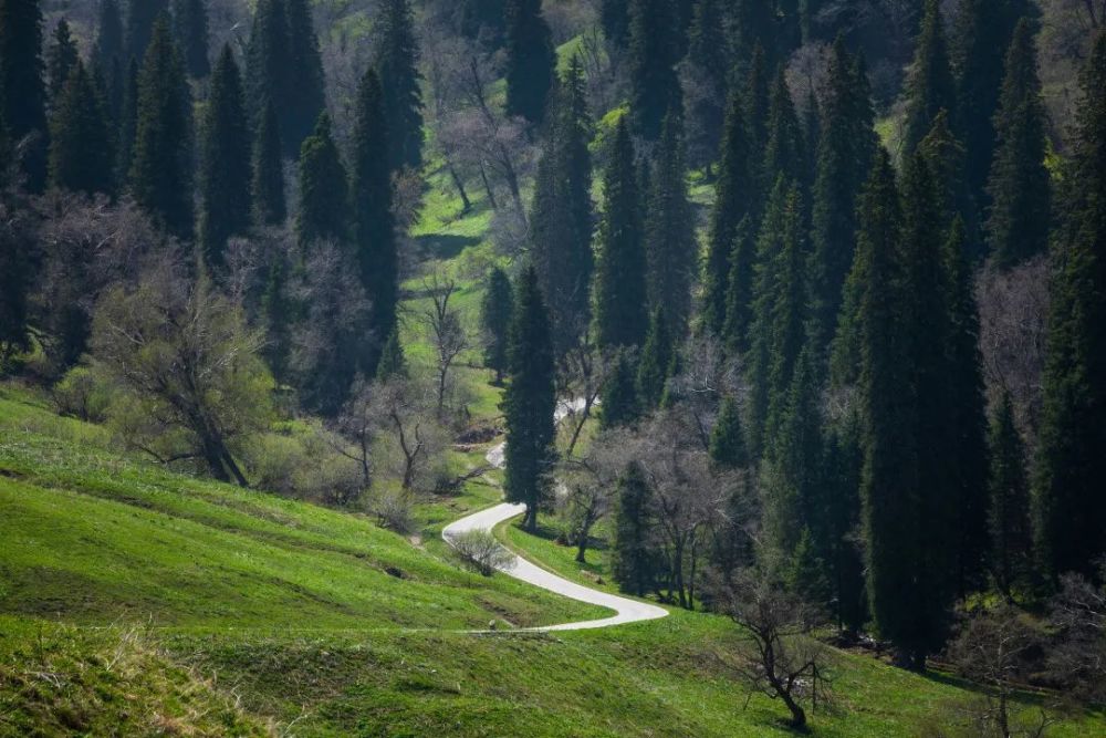 最新款绿鬼，自然美景探险之旅启动