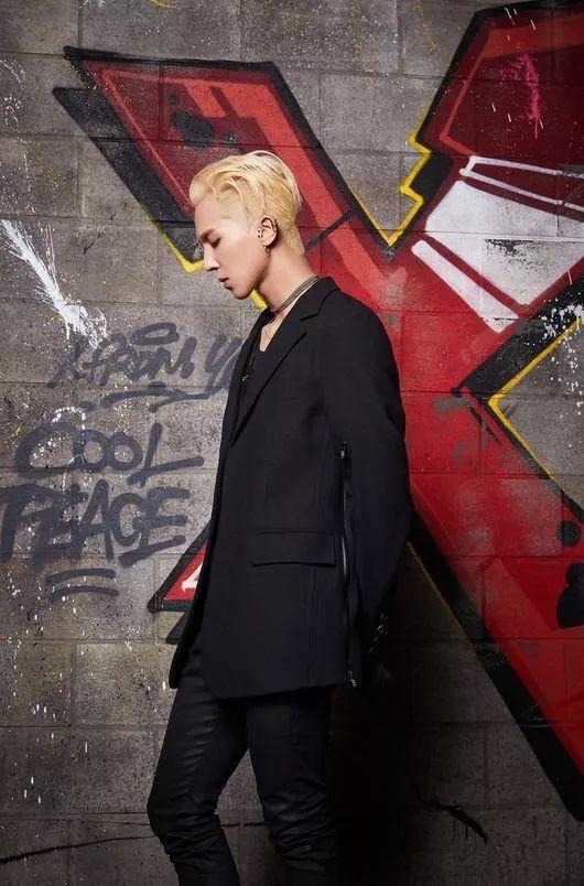 Winner最新动态全面解读，不容错过的最新消息！