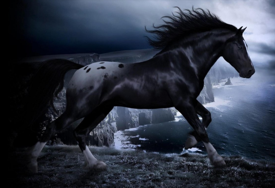 新澳四不象,创新发展策略_ZPV34.423自由版