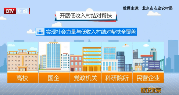 新澳门内部精准二肖,创新发展策略_QIX34.868多维版