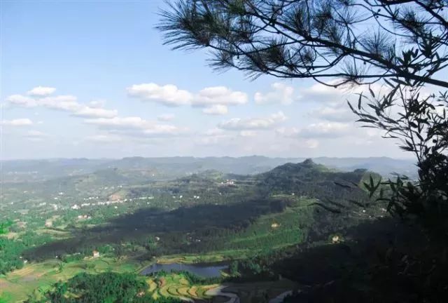 恩阳最新新闻，自然美景探索之旅，寻找内心的平和与喜悦