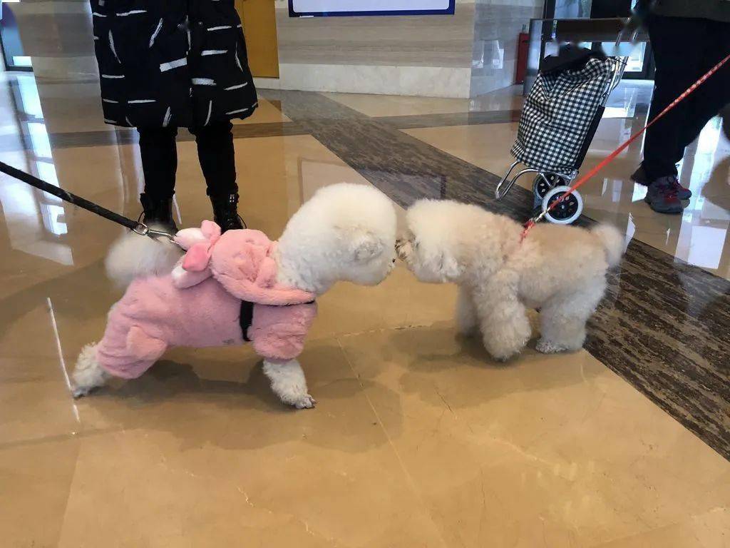 石泉吧最新热点帖子探索与新鲜动态速递