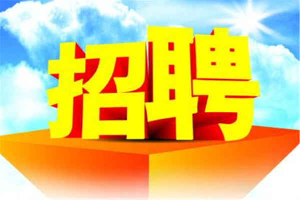 鹿泉区温暖招聘日常，友情牵绊与新的开始