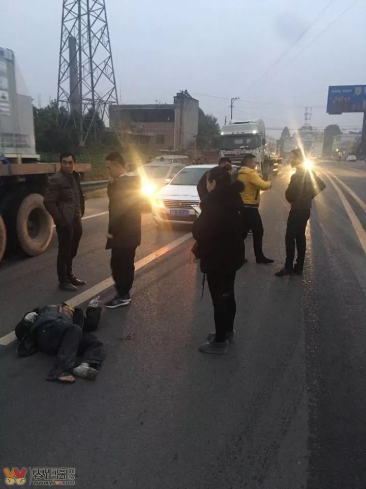 陕西车祸最新消息与心灵自然的奇妙之旅