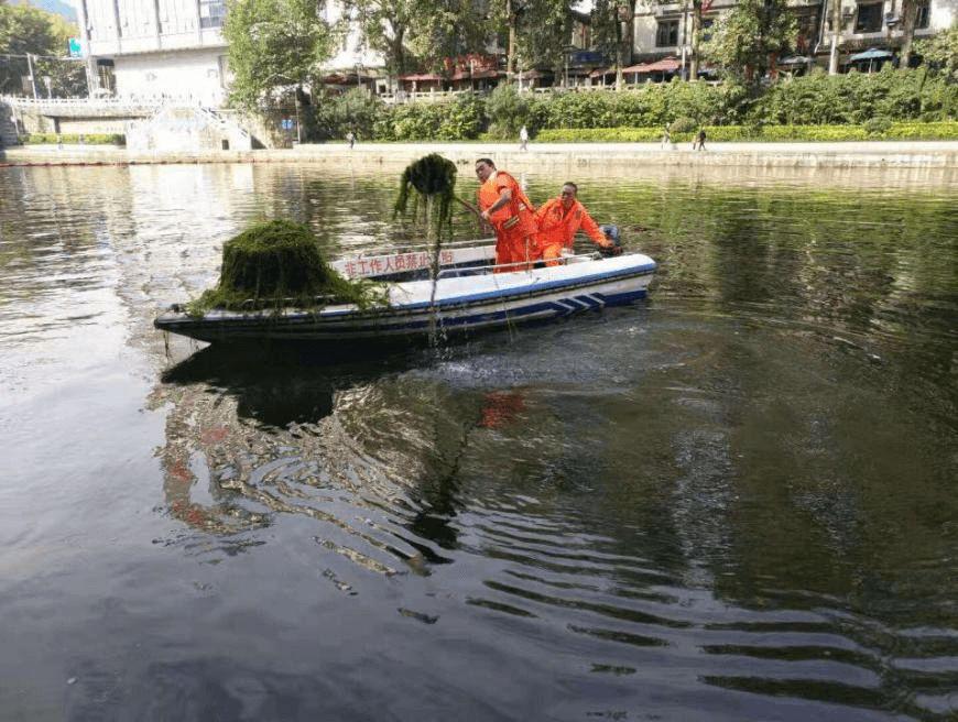 汇川区棚改最新动态，小巷深处的惊喜探索