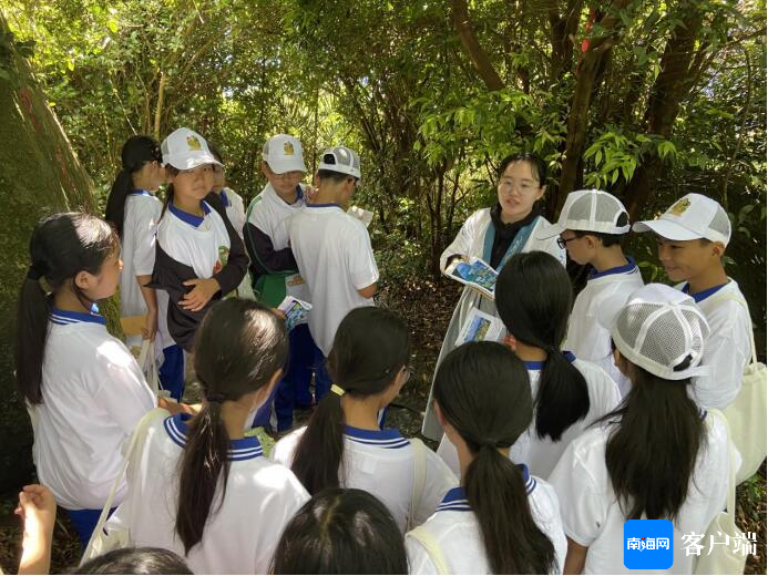 大关县最新领导班子引领自然探索之旅，寻求内心平和宁静的启示