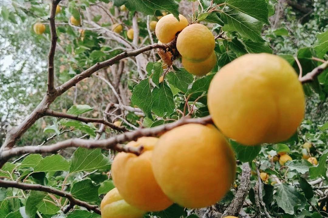 甘肃银行上市最新消息,甘肃银行上市记，一个温馨的日常故事