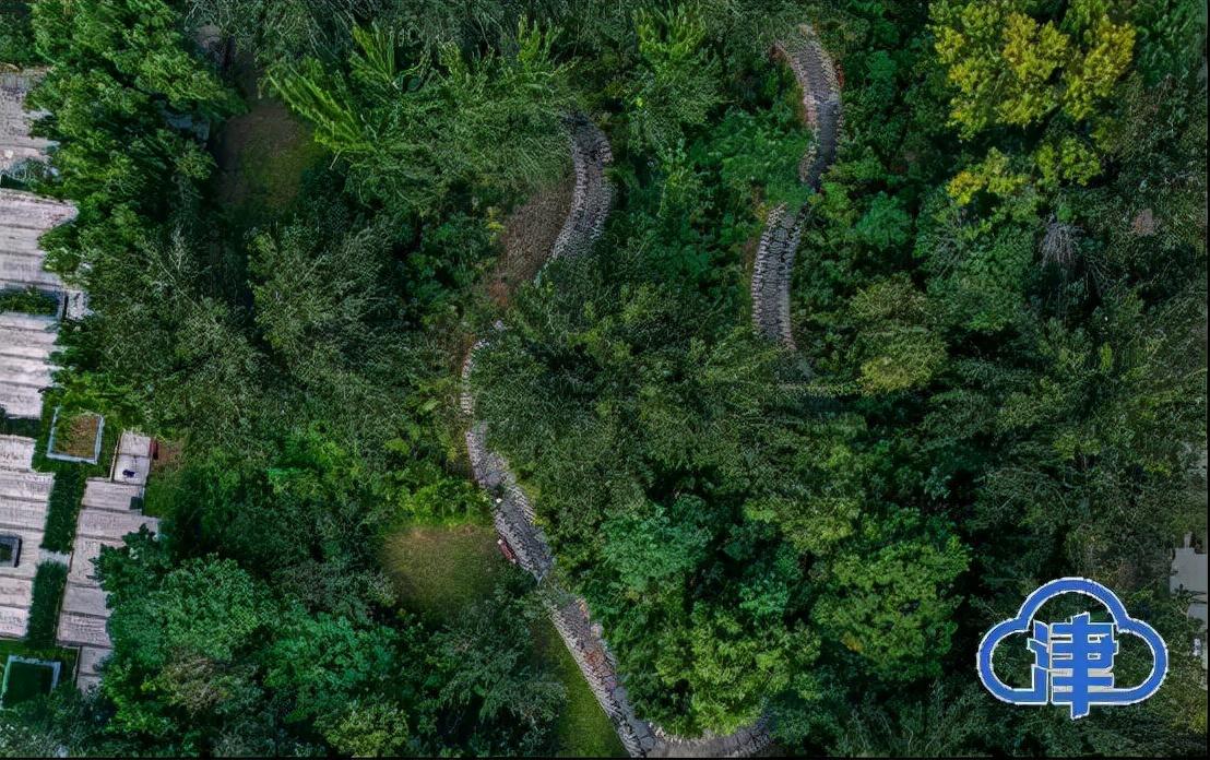 滨河竹园最新进展揭秘，小巷中的隐藏宝藏现身！