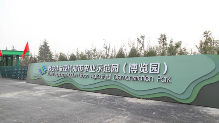 沣泾大道最新动态更新