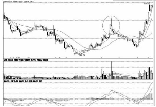 大连国际股票最新动态更新，关键消息一览