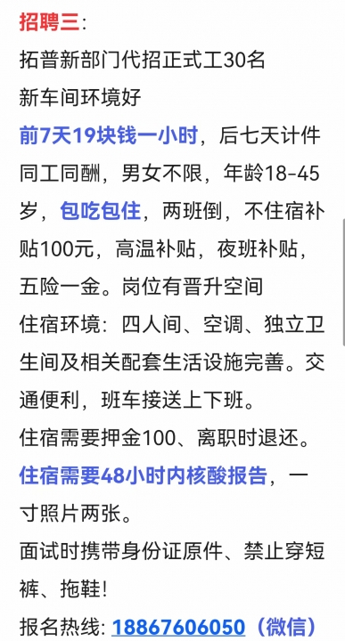 最新秀洲临时工招聘揭秘，小巷中的职业宝藏等你来探索！