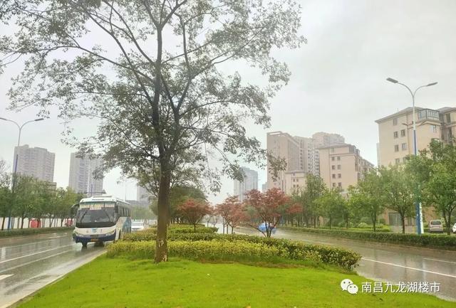 南昌新力合园最新房价,科技前沿居所,生活共舞启幕