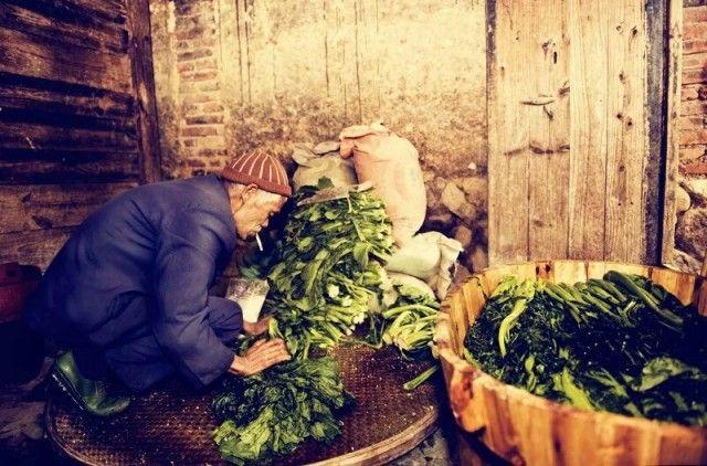 湖北盐改最新动态，心灵与自然的美丽交融