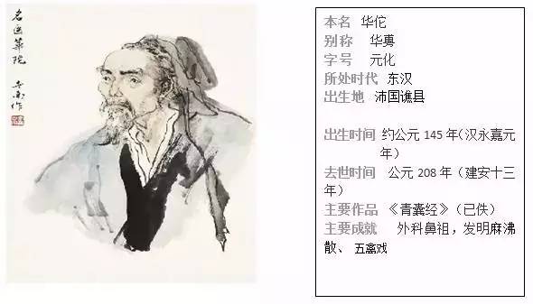 小神医混仕途,医术、权力与人性交织的仕途新篇章