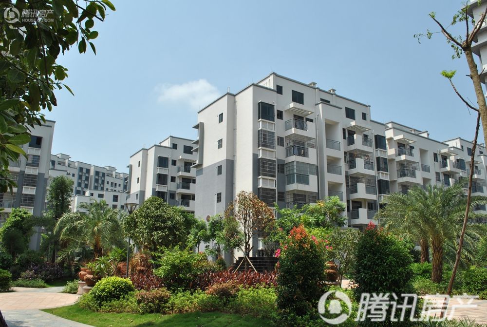 钦州翰林尊府最新动态更新,最新消息汇总