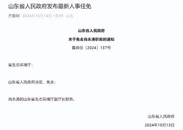 山东省委最新人事任免及指南概览