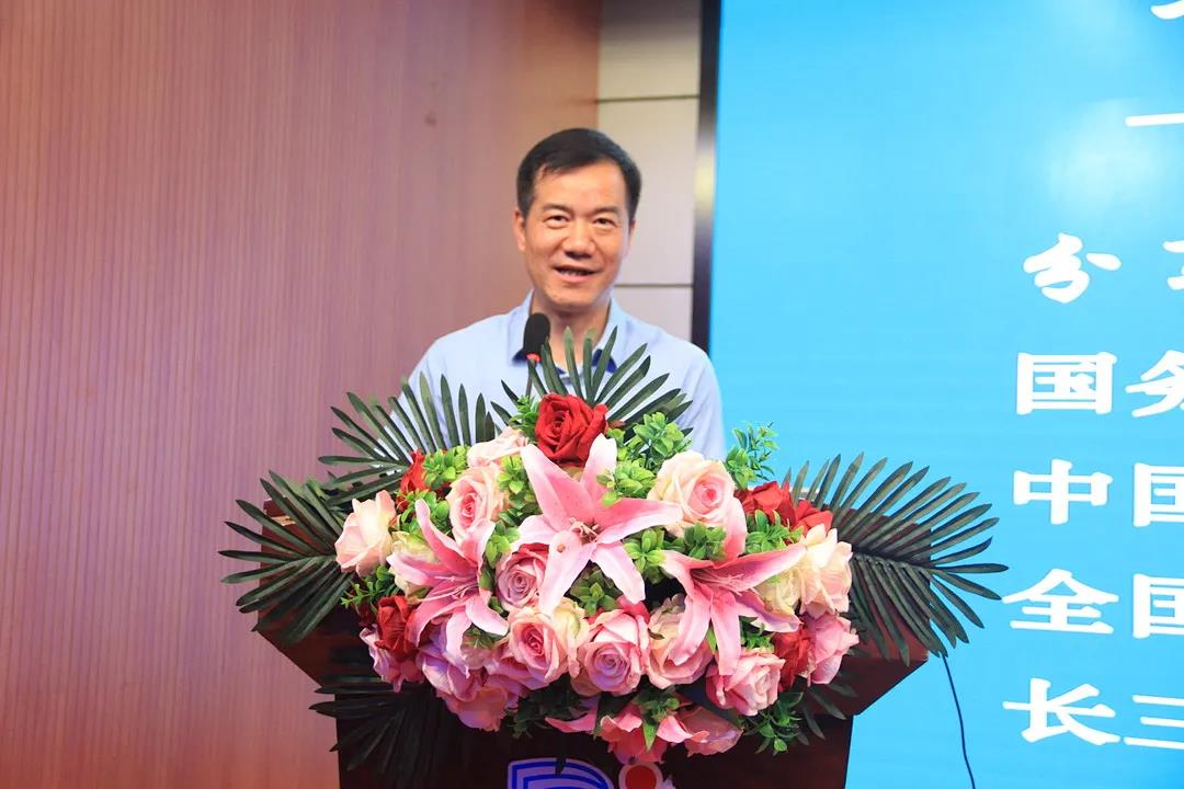 000725分红最新消息全面解析，获取分红的实用指南