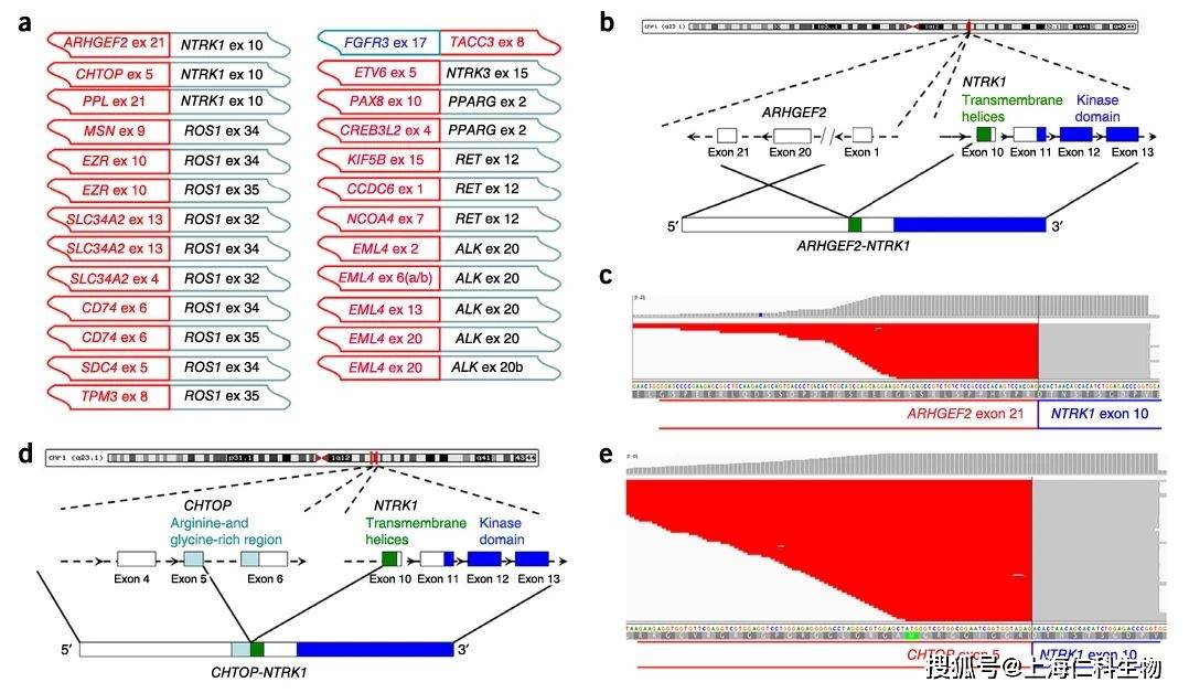2024新奥资料免费精准,高速应对逻辑_SWN79.215定制版