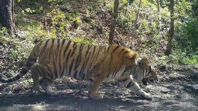 2024贵州宁黄公路最新消息,科学依据解析_XDK79.765强劲版