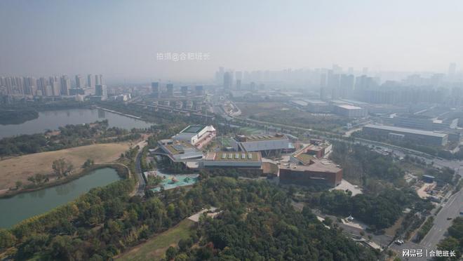 南艳湖公园最新动态揭秘，小巷中的独特风情