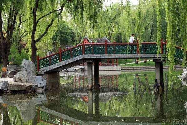 南艳湖公园最新动态揭秘,小巷中的独特风情