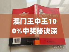 新澳门王中王100,全面性解释说明_HMC79.669人工智能版