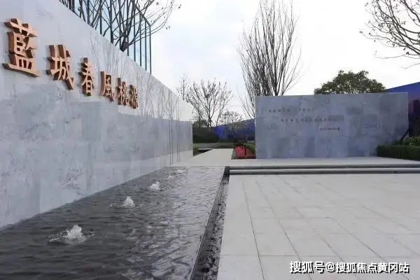 河南自贸区最新动态，一种观点分析及其影响