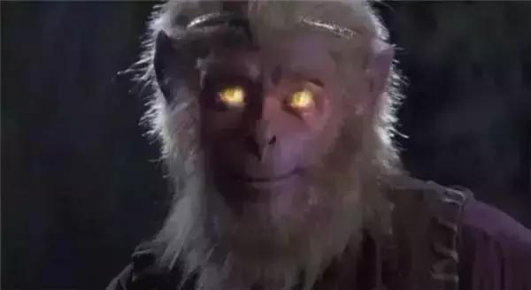 新澳门王牌,科学解说指法律_QZK79.918高端体验版