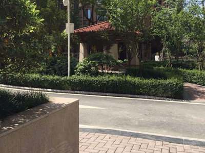 正定芳邻雅居，与自然美景的邂逅，探寻内心平和宁静的最新动态