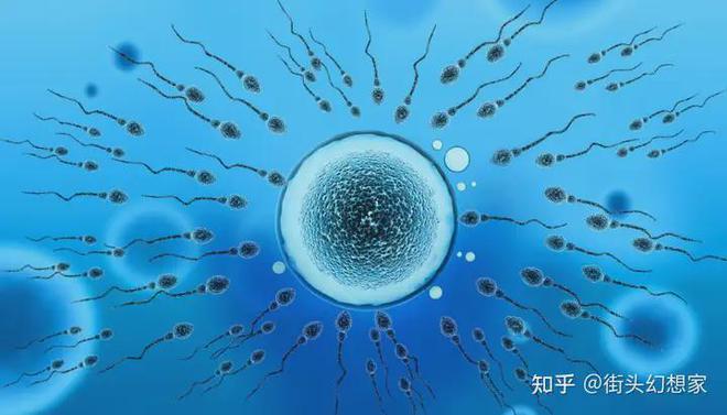 最新精子窝地址揭秘，一场温馨有趣的寻友之旅