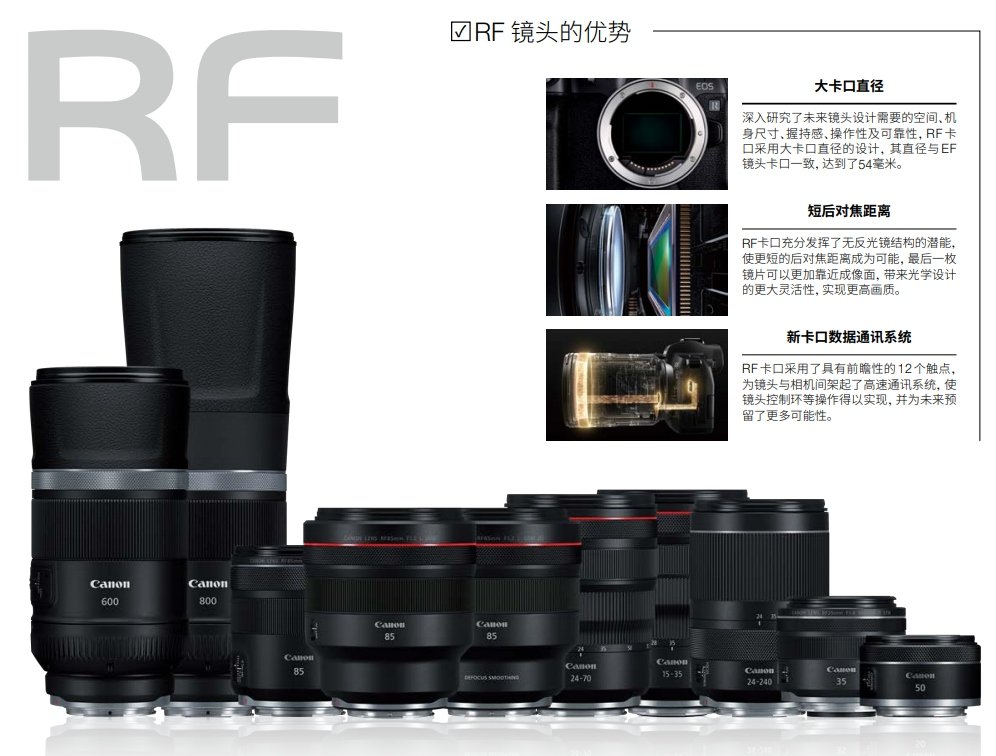 RF最新镜头的深度探讨与观点阐述