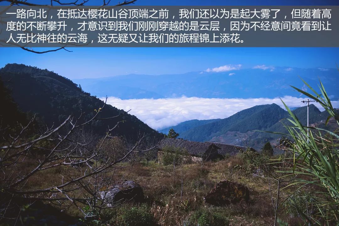 普洱最新通告，启程探索自然美景，寻找内心宁静之旅