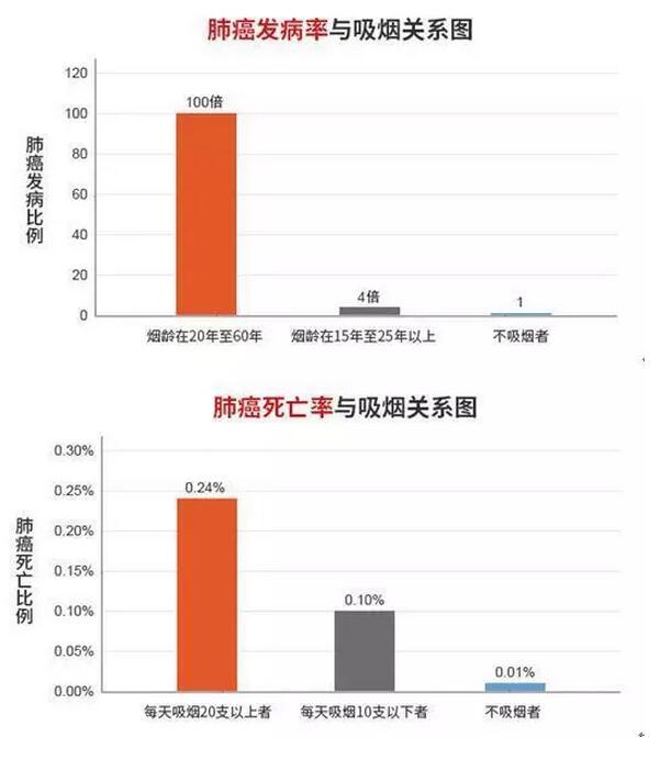 最新肺病数据大揭秘，关注肺部健康，共同抗击疾病！